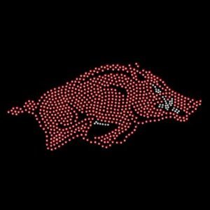 Arkansas Razorbacks