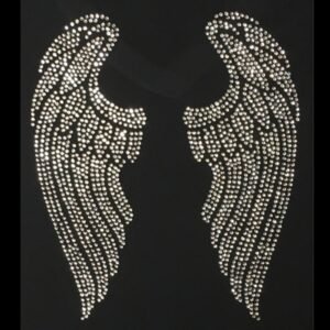 Angel Wings I